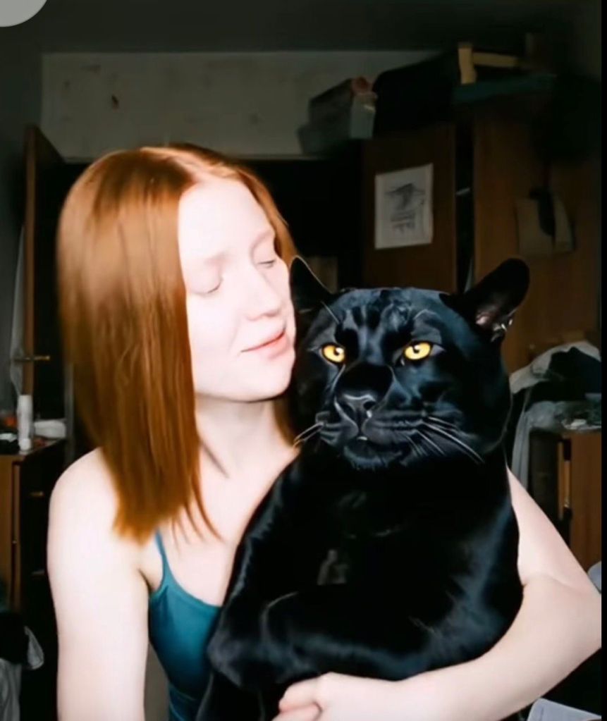 A ruiva em varias poses, olhando para você, com o gato preto, com cara de susto.